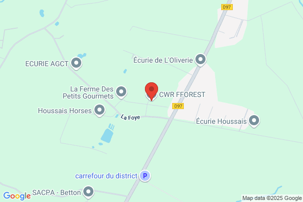 Cwr Fforest