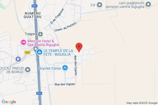 Entreprise Insulaire De Nettoyage Laving Glace