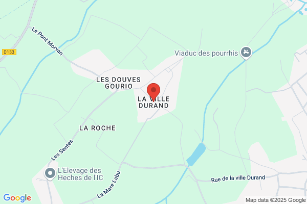 Bellec Dominique