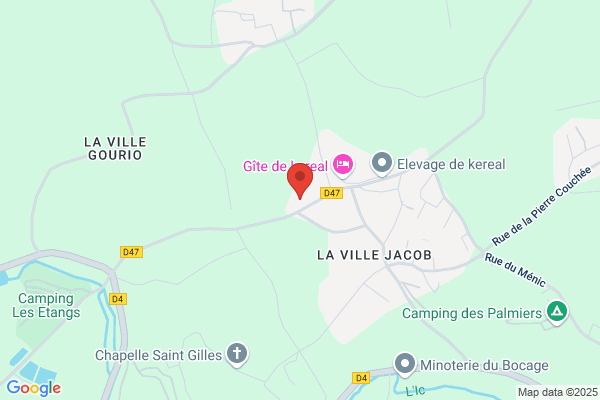 Cousin Jacques