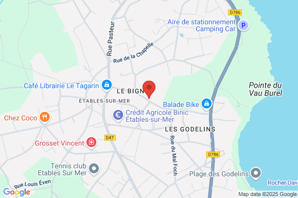 Expertises Galtier