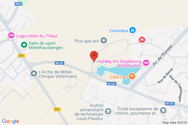 Courtage Europeen D Assurance