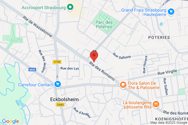 LE PALMIER DU RHIN