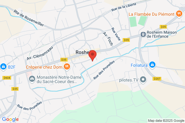Goldfish Consultant Formateur