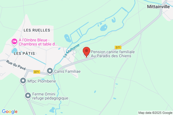 Au Paradis Des Chiens
