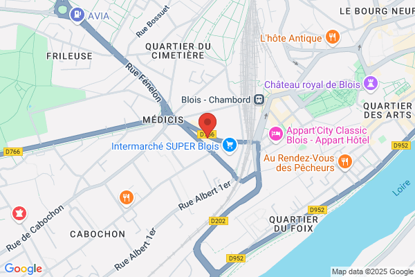 Domino's Pizza Blois