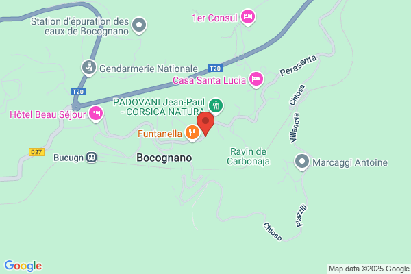 Au Four A Bois De Bocognano