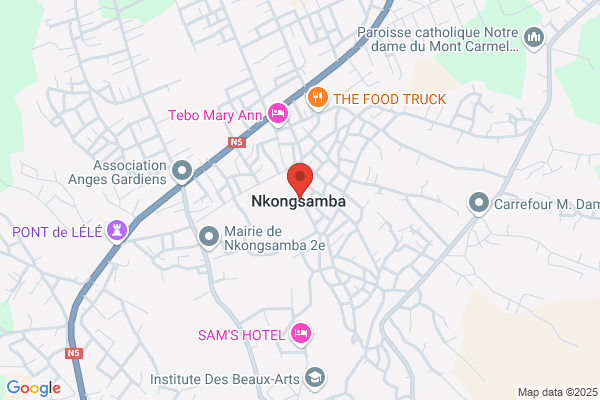 Arncf Association Des Ressortissants Du Nkam Cameroun