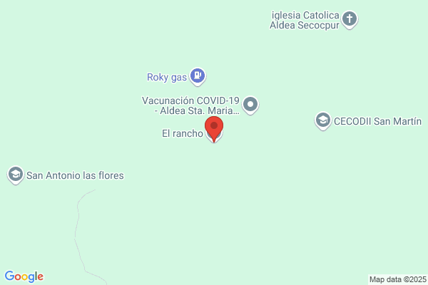 Alta Vera