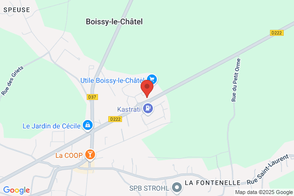 Boissy Automobiles Service Commercial Voitures Neuves