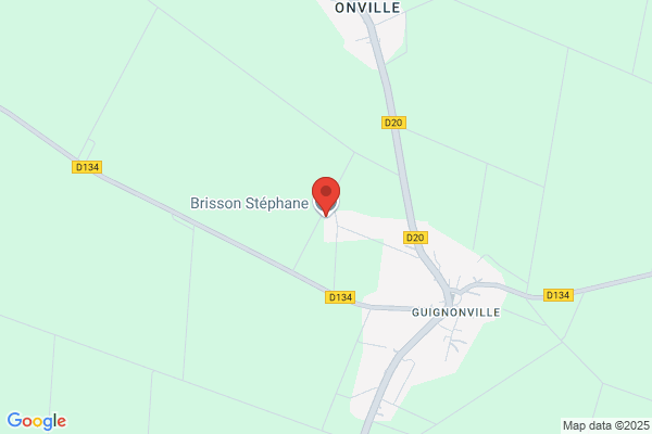 Brisson Bruno