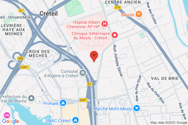 assainissement services debouchage