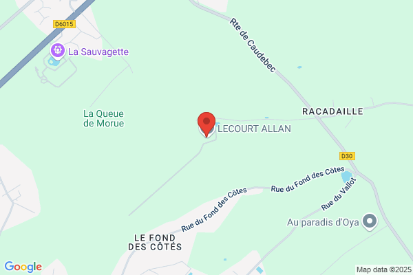 lecourt allan