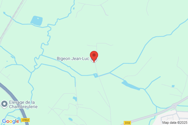 Bigeon Jean-Luc