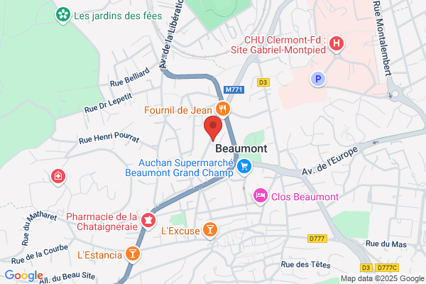 Institut De Gestalt Therapie D Auvergne
