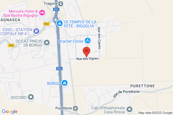 Morellini Toiles & Stores