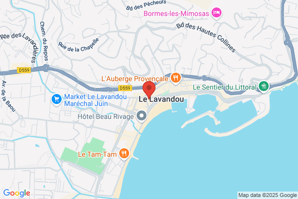 Hotel L Ilot Fleuri