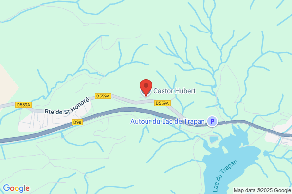 Castor Hubert
