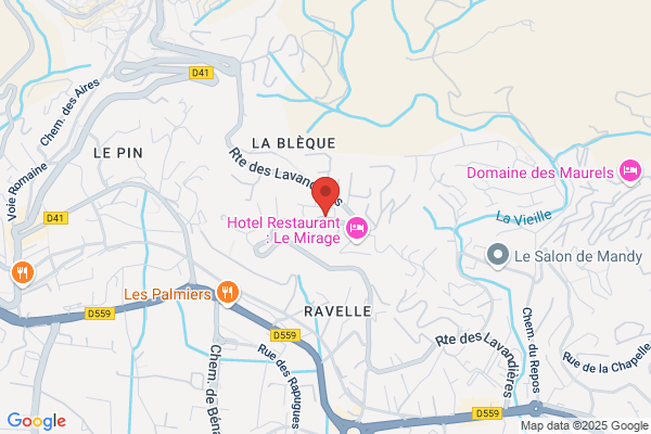 Comite Central Entreprise Credit Lyonnais