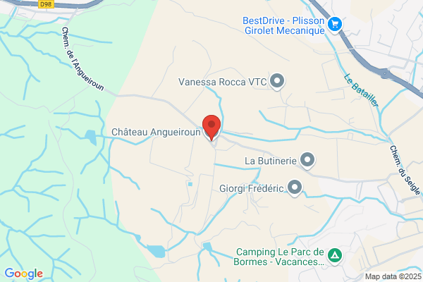 Domaine De L Angueiroun