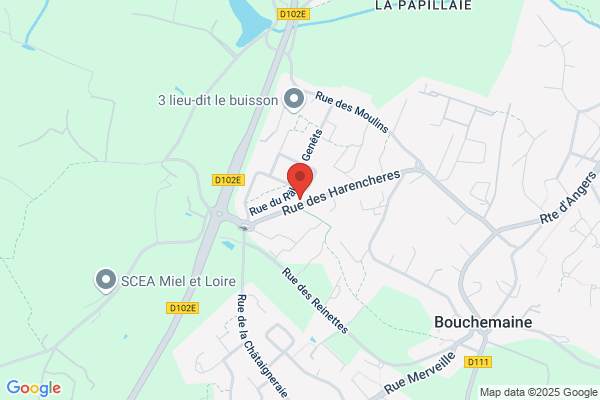 Accueil Jeunes Projet