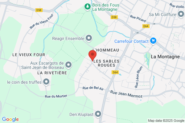 bug'informatique