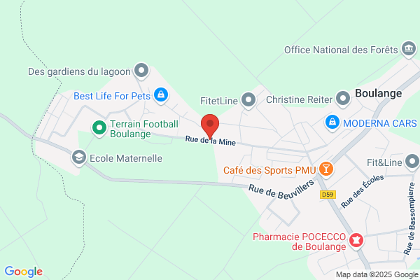 CYBERDINE CONSEIL