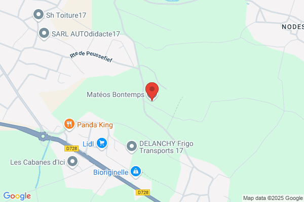 Guitard Marie France