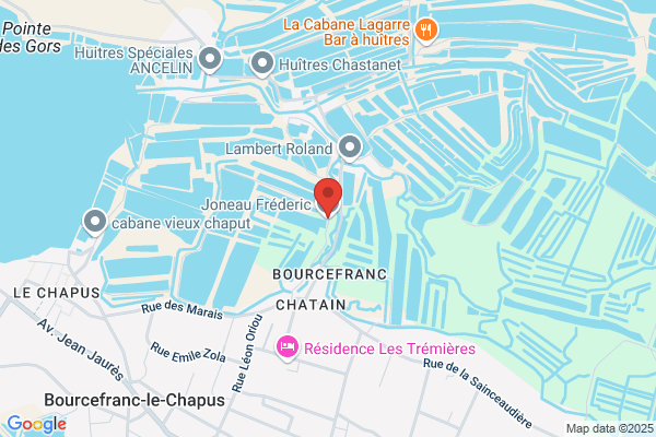 Joneau Frederic