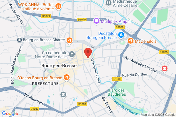 Bresse Voyages Sarl