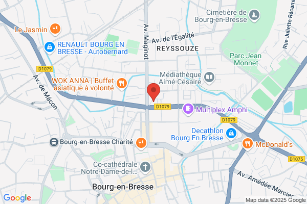 Association Des Paralyses De France