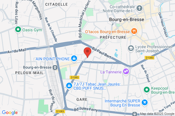MAAF Assurances BOURG EN BRESSE