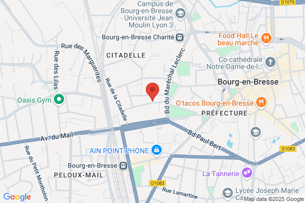 Gestion Information Developpement