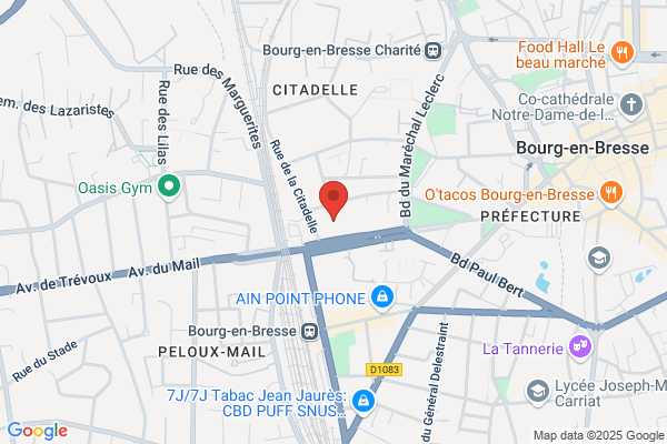 Grand Rene Chir Dent