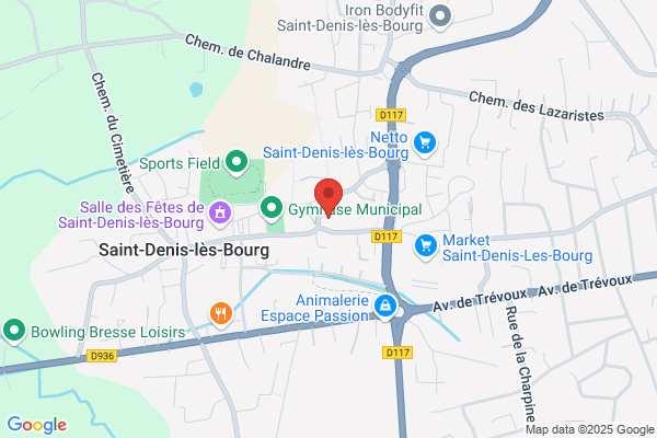 College De Saint Denis Les Bourg