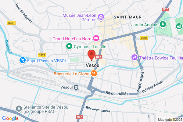 Direction Departementale Des Renseignements Generaux