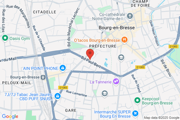 Dipas Direction De La Prevention Et De L action social