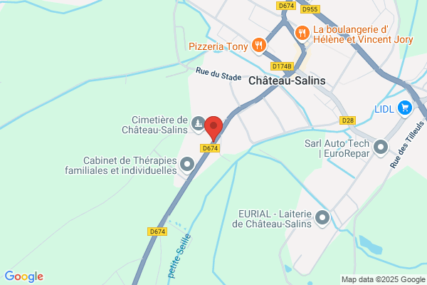Club Amis Du Lion