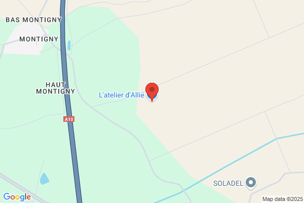 L'atelier des éternelles