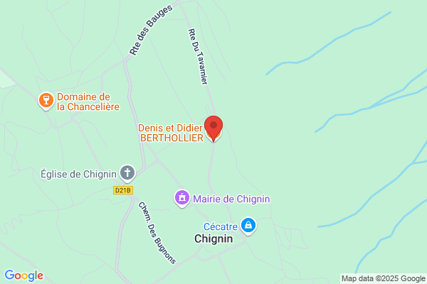 Berthin Didier