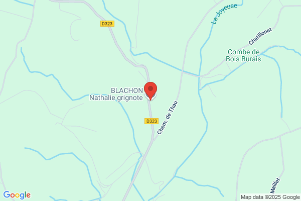 Blachon Georges