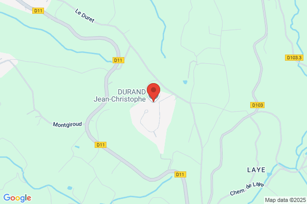 Balent Jean Durand Francois Dion Christophe Scm