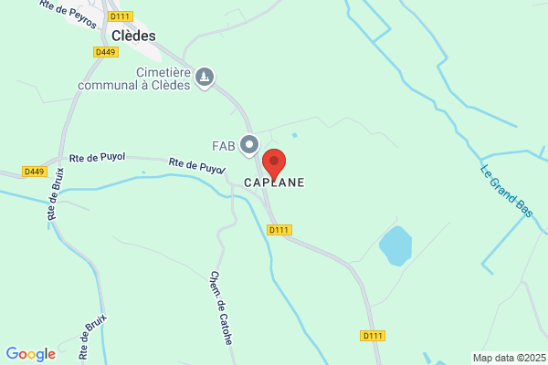 Carrere Michel