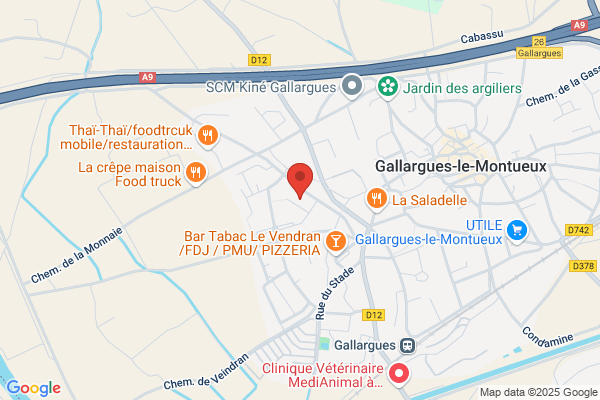 LE MULTI-SERVICES