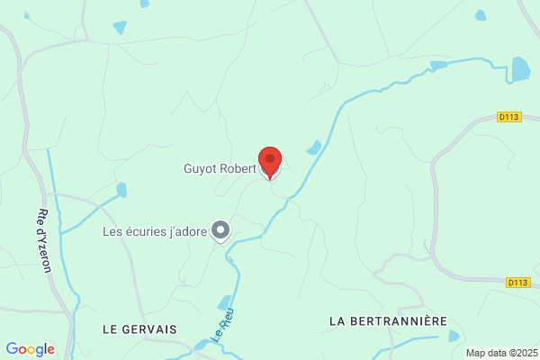 Guyot Robert