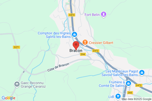 Braconi Rusjan Costa Cogneau Scp