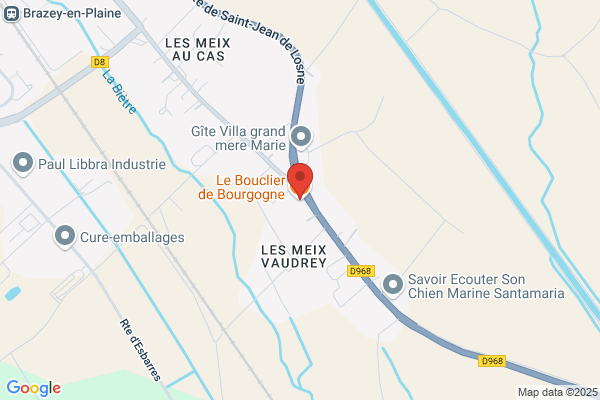 Bouclier De Bourgogne