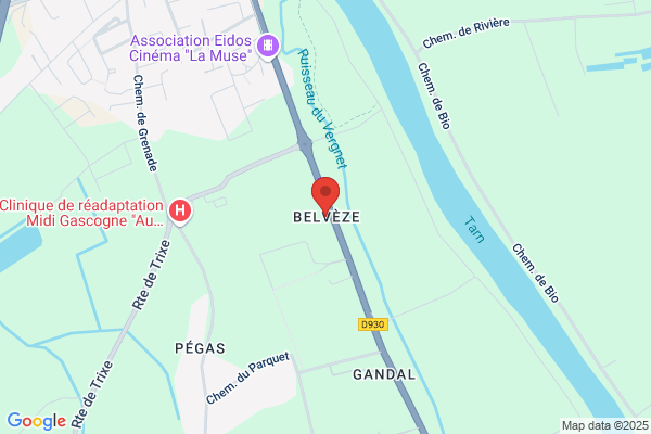 Earl De Belveze