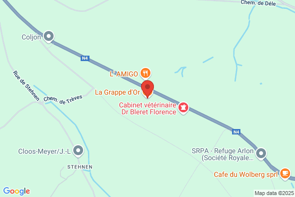 A La Grappe D Or