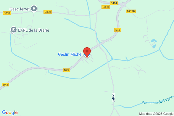 Geslin Michel
